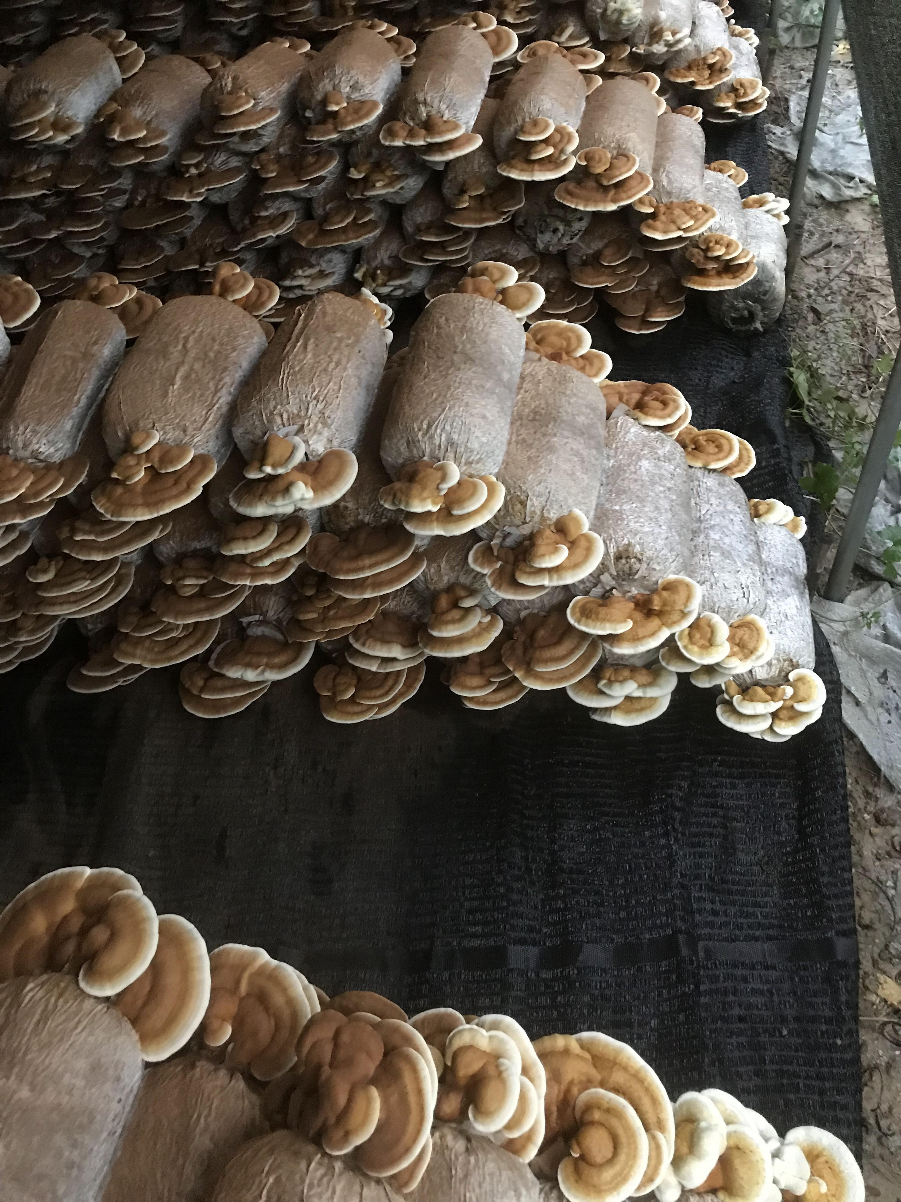 基地环境